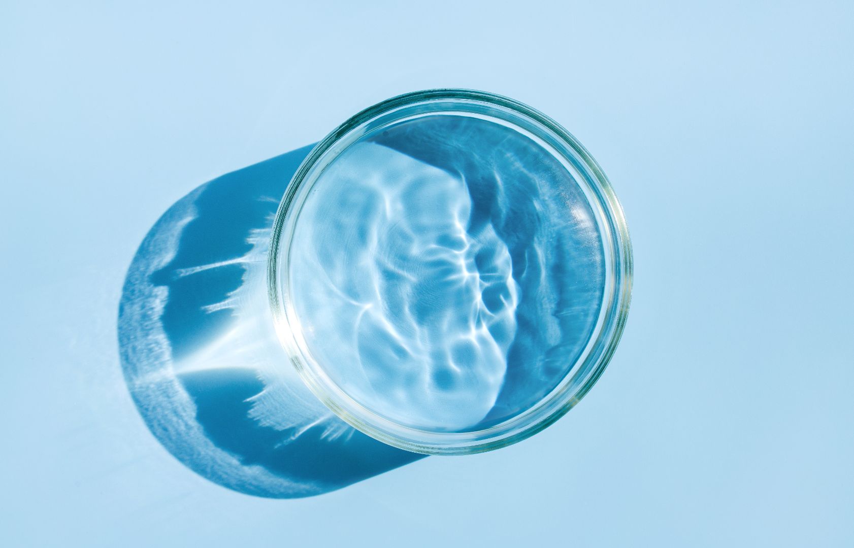high-collagen foods for skin